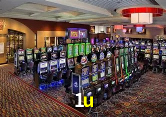 Sports Statistics 1u